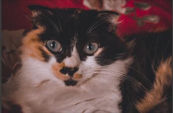 test 2