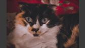 test 2